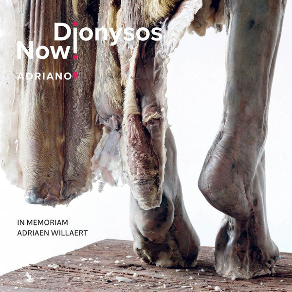 Dionysos Now : Adriano 5 (In Memoriam Adriaen Willaert) (CD, Album)