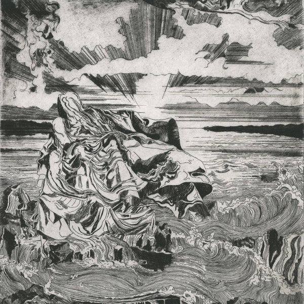 Shovel Dance Collective : The Shovel Dance (LP, Album)