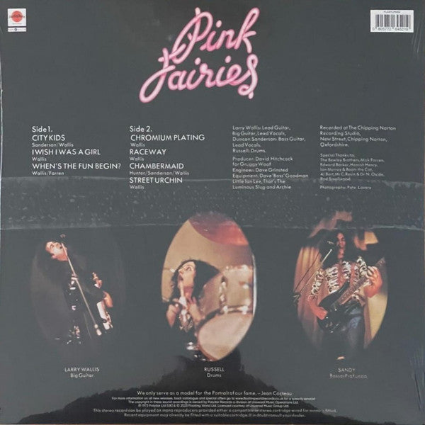 The Pink Fairies : Kings Of Oblivion (LP, Album, RE, Pin)