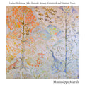 Luther Dickinson, John Medeski, Johnny Vidacovich And Dominic Davis : Mississippi Murals (LP, Album)