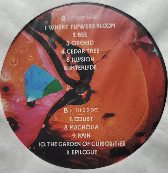 Aleksander Dębicz : Magnolia (LP)