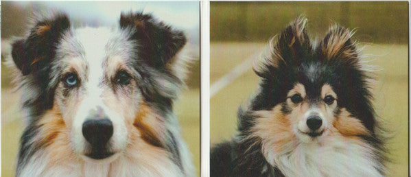 ARXX : Good Boy (CD, Album)