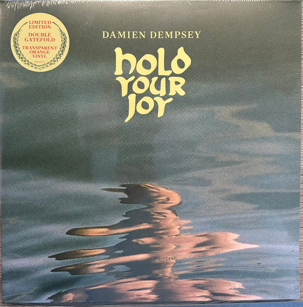 Damien Dempsey : Hold Your Joy (LP, Album, Ltd, Tra)