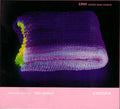 Albrecht Maurer Trio Delight : Syntopia (CD, Album)