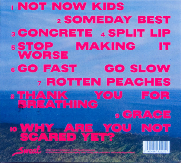 Dolores Forever : It's Nothing (CD, Album)