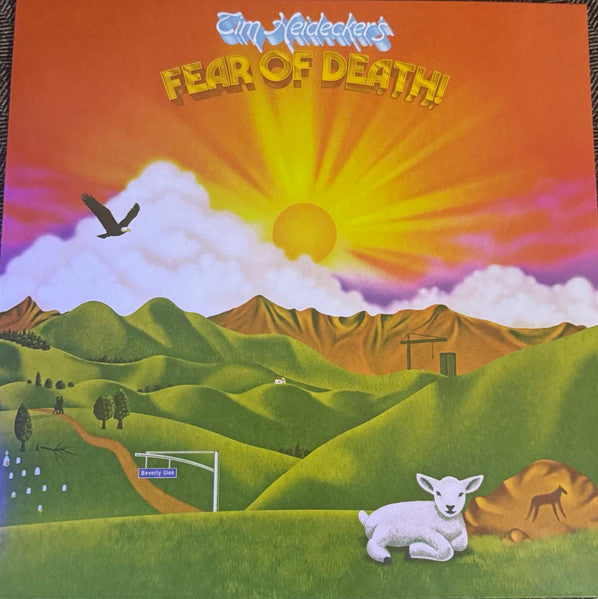 Tim Heidecker : Fear Of Death (LP, Album, RE, Gol)
