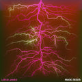 Leifur James : Magic Seeds (LP, bla)