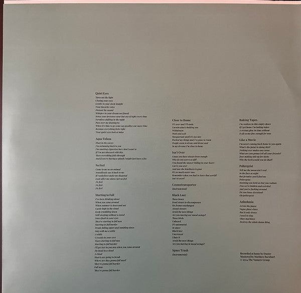 Duster (2) : In Dreams (LP, Album, Ltd, Cle)