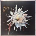 Heather Maloney : Exploding Star (12", Album)