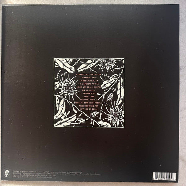Heather Maloney : Exploding Star (12", Album)