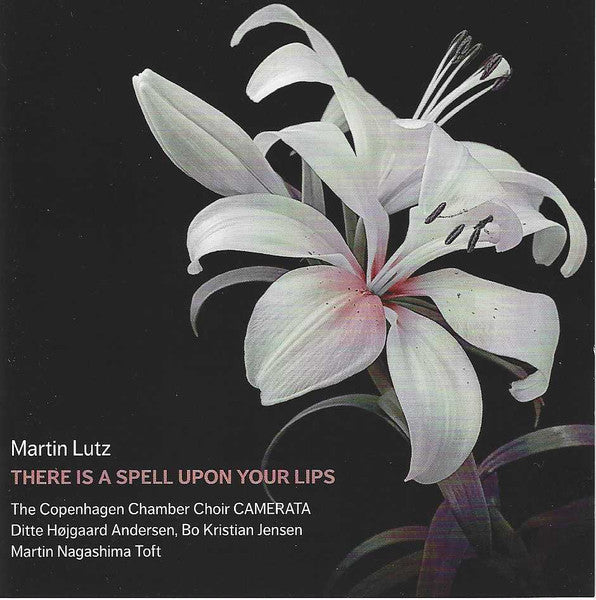 Martin Lutz (6) : There Is A Spell Upon Your Lips (CD, Album)