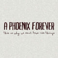 A Phoenix Forever : This Is Why We Can't Have Nice Things (CD, Album)