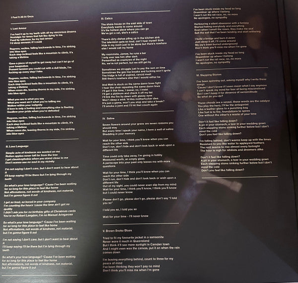Semantics (7) : I Feel It All At Once (LP, Album, Cle)