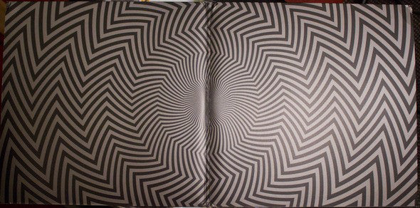 Picore : Assyrian Vertigo (2xLP, Album)