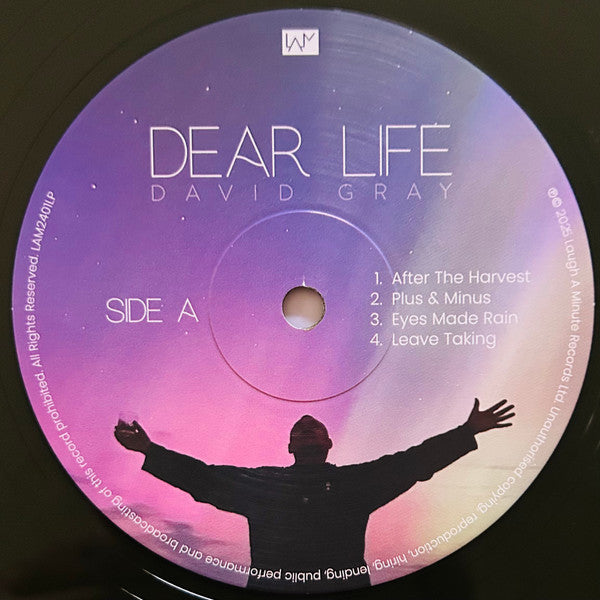 David Gray : Dear Life (2xLP, Album, Ltd, Gre)