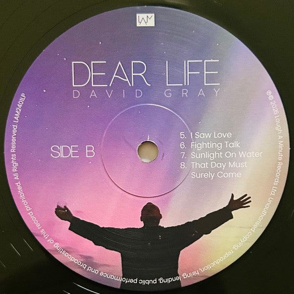 David Gray : Dear Life (2xLP, Album, Ltd, Gre)