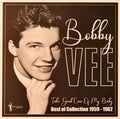 Bobby Vee : Take Good Care Of My Baby - Best Of Collection 1959-1962 (LP, Comp)