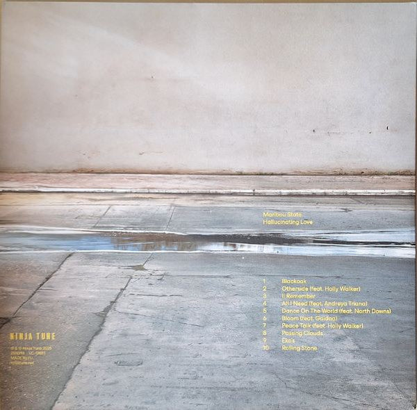 Maribou State : Hallucinating Love (LP, Album)