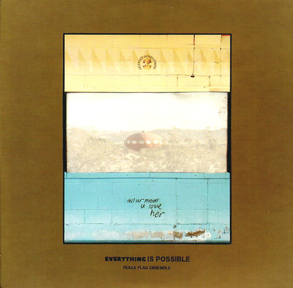 Peace Flag Ensemble : Everything Is Possible (CD, Album)