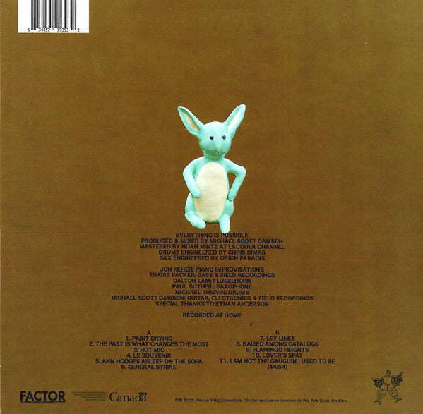 Peace Flag Ensemble : Everything Is Possible (CD, Album)