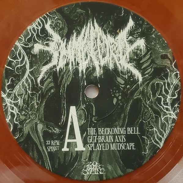 Slimelord : Chytridiomycosis Relinquished (LP, Album, Ltd, RP, Ces)
