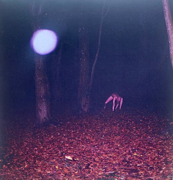 Buzzard Buzzard Buzzard : Skinwalker (CD)