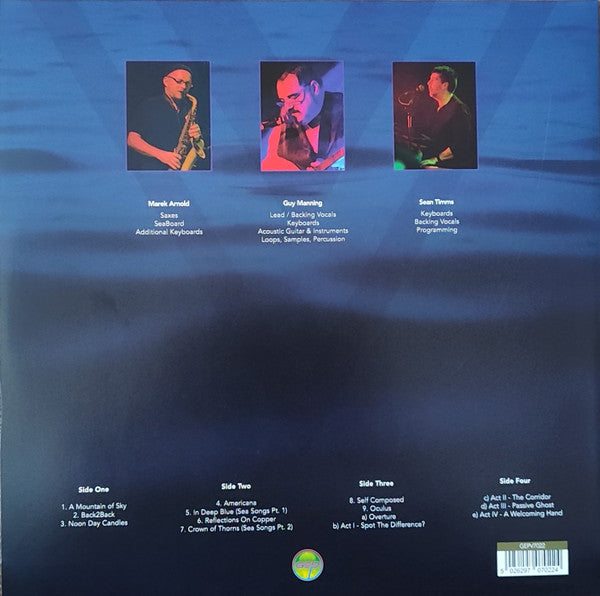 Damanek : Making Shore (2xLP, Blu)