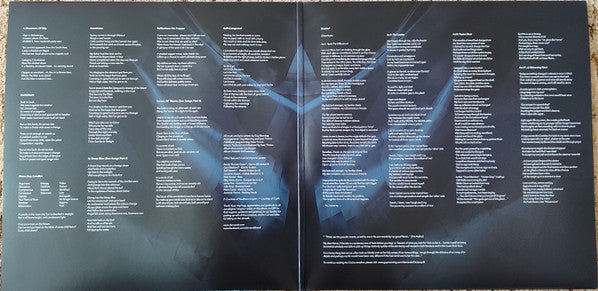 Damanek : Making Shore (2xLP, Blu)