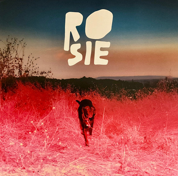 Kaycie Satterfield : Rosie (LP, Album, Eco)