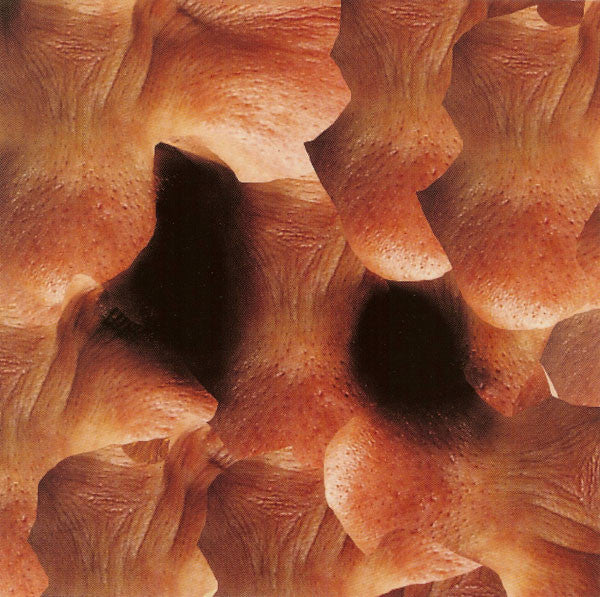 Aphex Twin : Richard D. James Album (CD, Album)