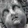 Maarten van der Vleuten : Are You Worthy ? (CD, Album)