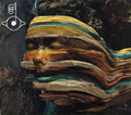 Björk : Bastards (CD, Comp, RM)