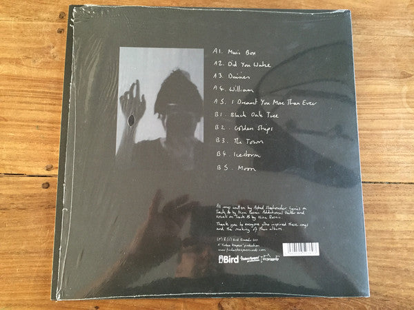 Paper Dollhouse : A Box Painted Black (LP)