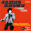 James Brown : Tell Me What You're Gonna Do ·Plus· Shout And Shimmy (CD, Comp, RM)