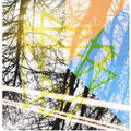 Trwbador : Trwbador (CD, Album)