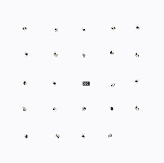 The Durian Brothers / Ensemble Skalectrik : Split Series #22 (12")