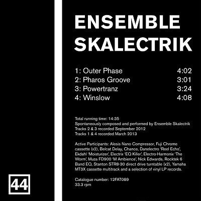 The Durian Brothers / Ensemble Skalectrik : Split Series #22 (12")