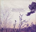 Lee Bains III & The Glory Fires : There Is A Bomb In Gilead (CD, Album)
