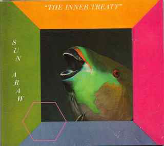 Sun Araw : The Inner Treaty (CD, Album)