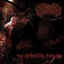 Suicidal Causticity : The Spiritual Decline (CD, Album)