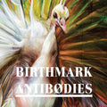 Birthmark : Antibodies (CD, Album)