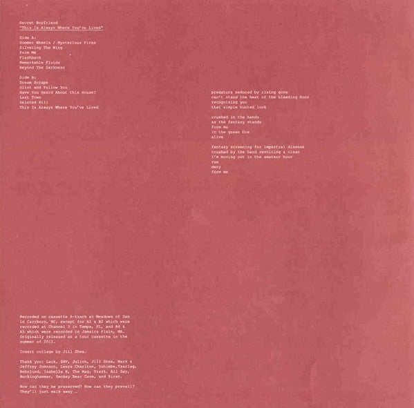 Secret Boyfriend : This Is Always Where You've Lived (LP)
