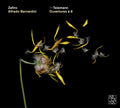 Georg Philipp Telemann - Zefiro, Alfredo Bernardini : Ouvertures A 8 (CD, Album)