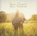 Dennis Ellsworth : Hazy Sunshine (CD, Album)