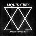 Liquid Grey : Arsenic Dreams (CD, Album)