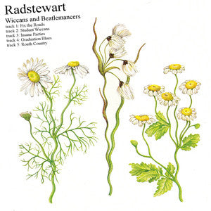 Radstewart : Wiccans And Beatlemancers (CD, EP, Gat)