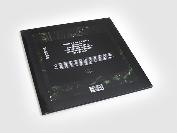Bok Bok : Your Charizmatic Self (2x12")