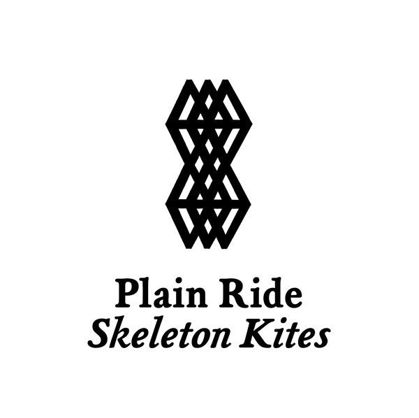 Plain Ride : Skeleton Kites (CD)