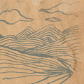 Wooden Wand : Farmer's Corner (CD, Album)