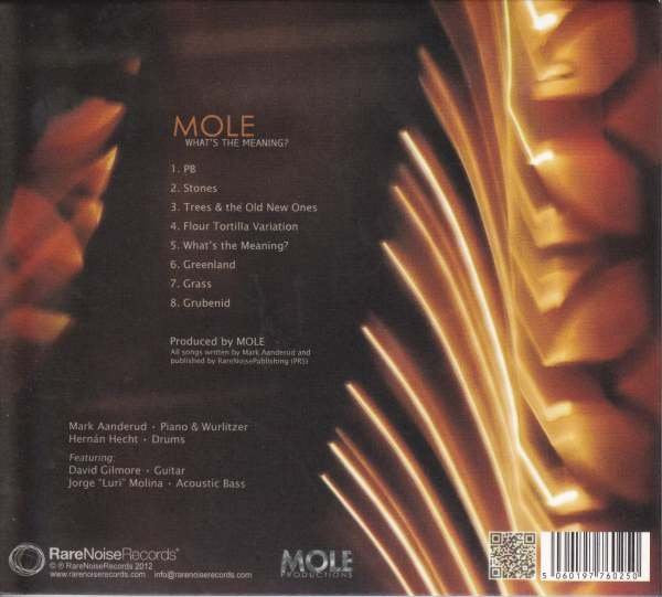 Mole (23) : What's The Meaning? (CD, Album)